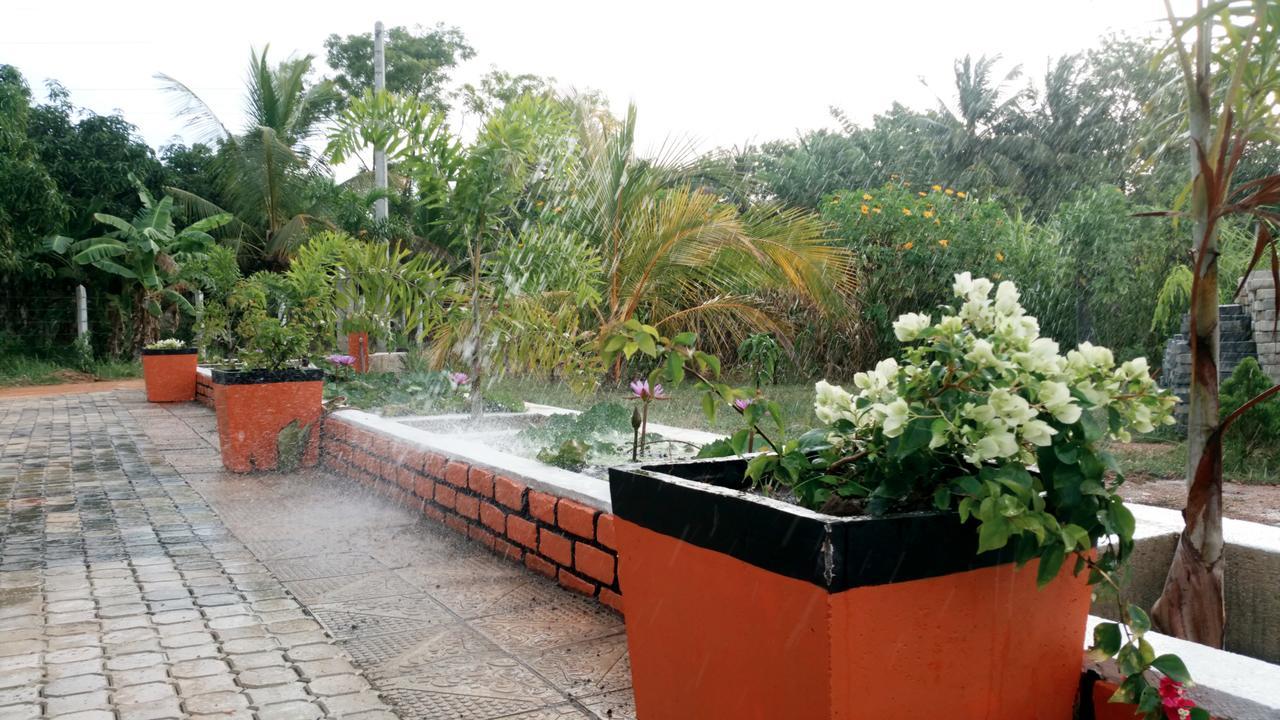 Miheen Hotel & Resort - Anuradhapura มิฮินตาเล ภายนอก รูปภาพ