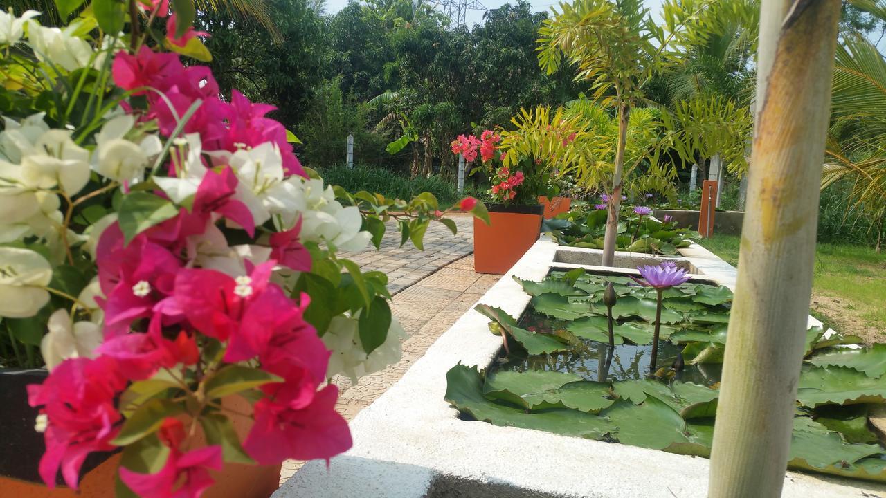 Miheen Hotel & Resort - Anuradhapura มิฮินตาเล ภายนอก รูปภาพ