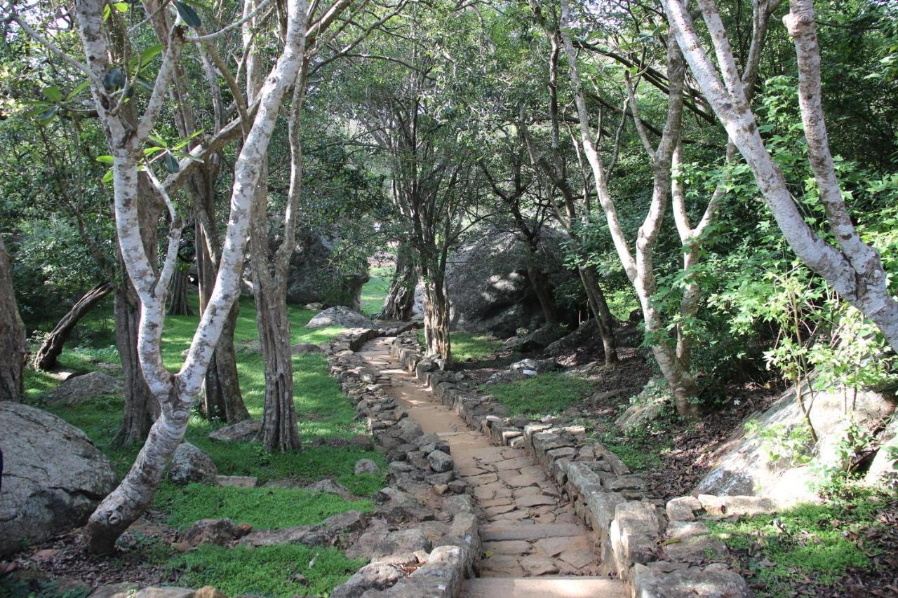 Miheen Hotel & Resort - Anuradhapura มิฮินตาเล ภายนอก รูปภาพ