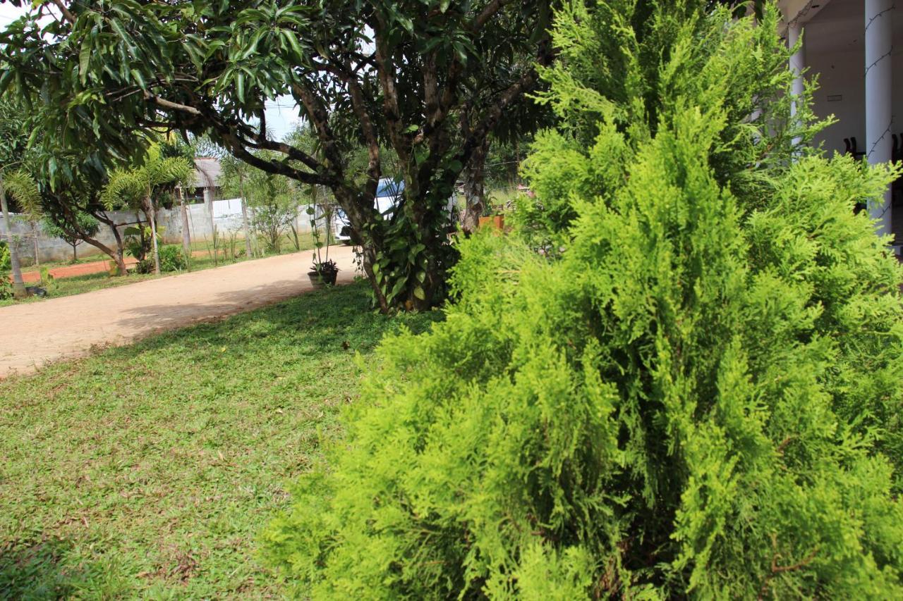 Miheen Hotel & Resort - Anuradhapura มิฮินตาเล ภายนอก รูปภาพ