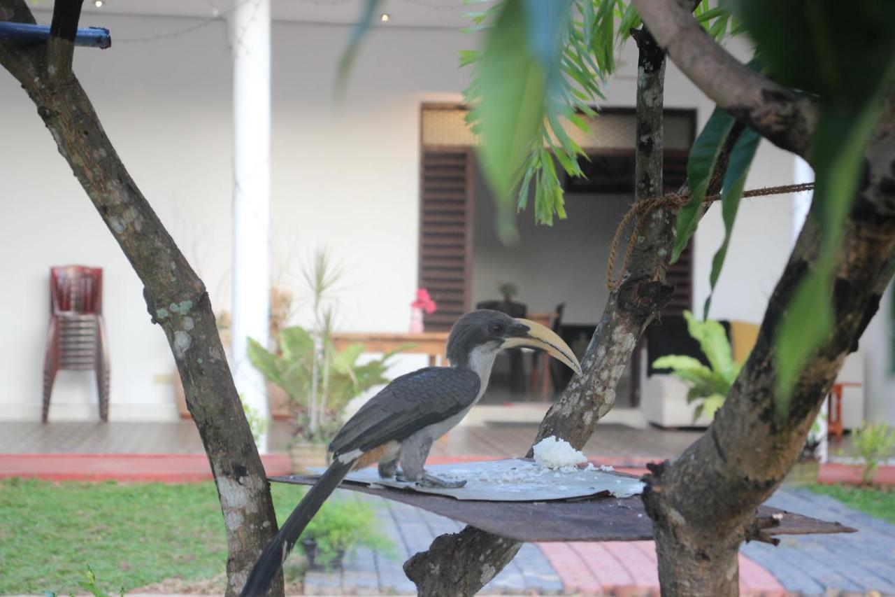 Miheen Hotel & Resort - Anuradhapura มิฮินตาเล ภายนอก รูปภาพ