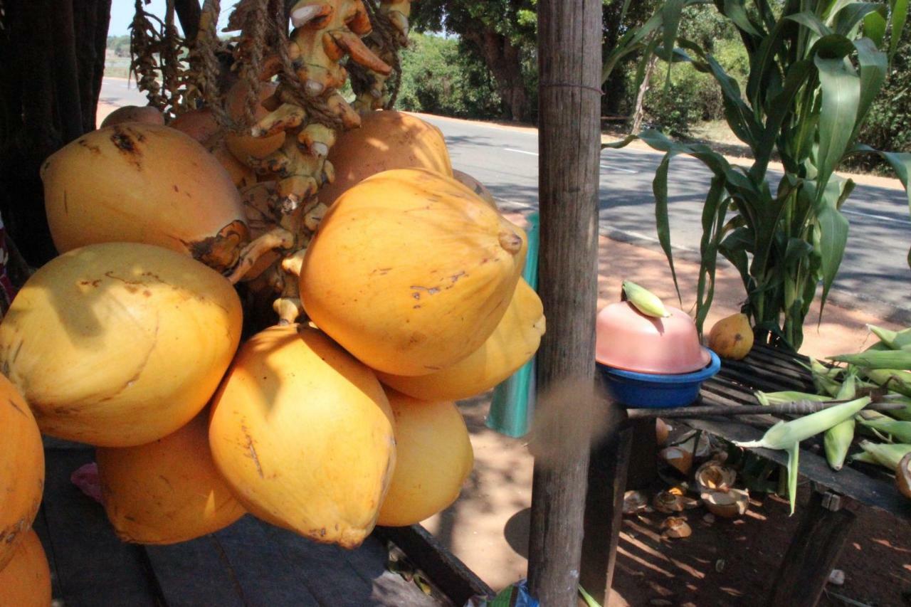 Miheen Hotel & Resort - Anuradhapura มิฮินตาเล ภายนอก รูปภาพ